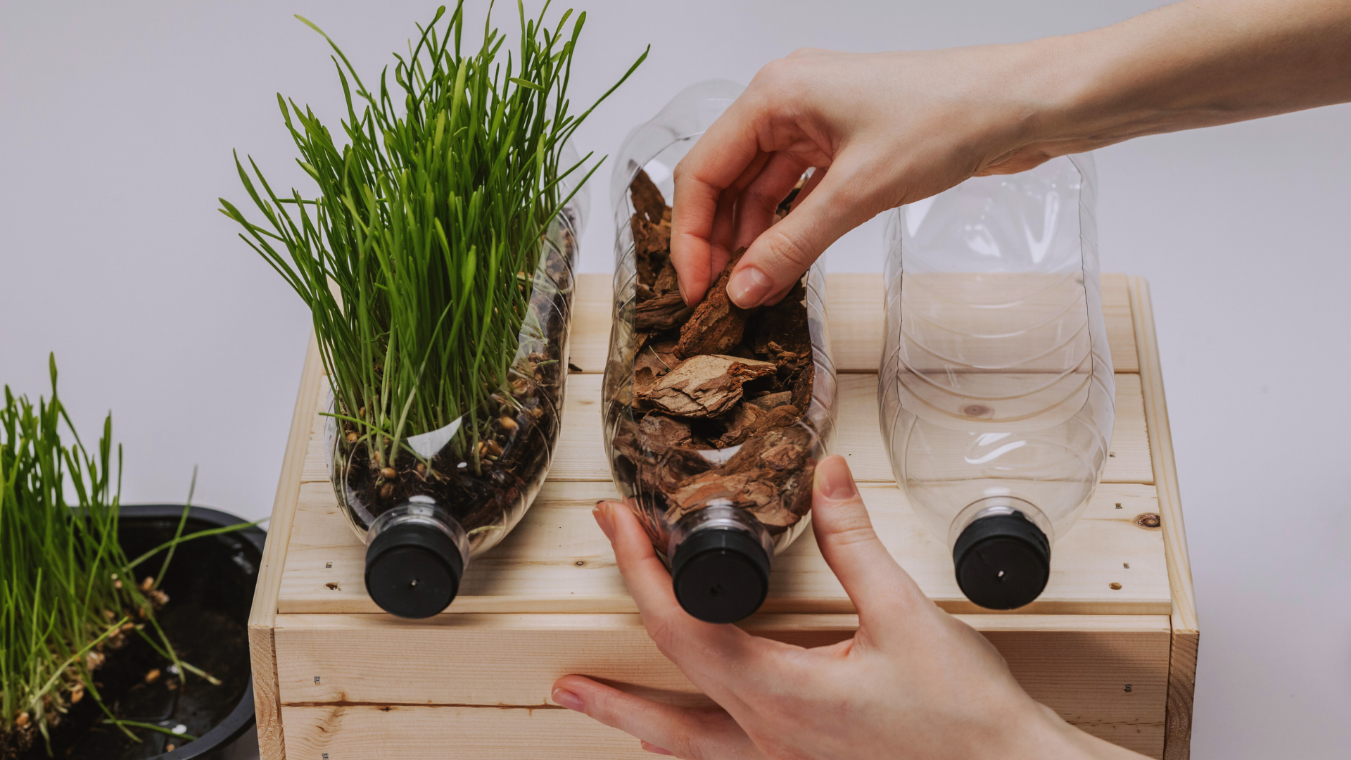 Read more about the article How to Use Recycled Materials for Your Garden Projects: Sustainable Solutions for Eco-Friendly Gardening